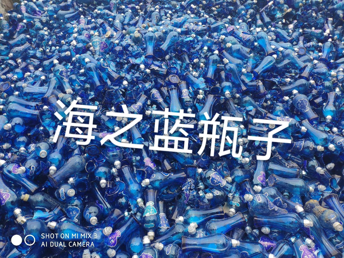 苏州海之蓝瓶回收